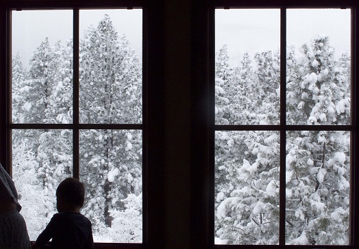 New Year, New Home: Your 2025 Home Improvement Resolutions